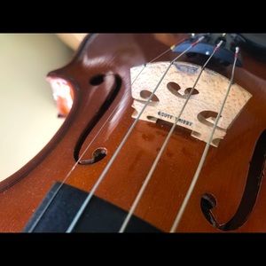 Full size Violin